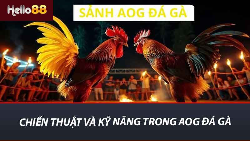 AOG Đá Gà - Tìm Hiểu Về Giải Đá Gà Trực Tuyến Tại Việt Nam 2 Chiến thuật và kỹ năng trong aog đá gà