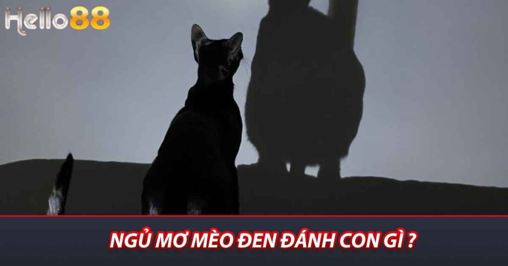 Ngủ mơ mèo đen đánh con gì ?