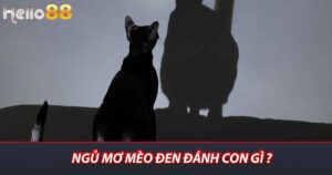 Ngủ mơ mèo đen đánh con gì ?