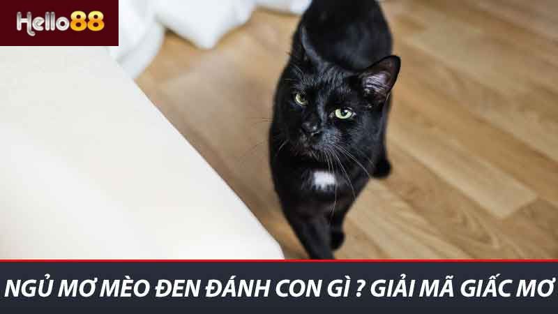 Ngủ Mơ Mèo Đen Đánh Con Gì ? Khám Phá Ý Nghĩa Giấc Mơ 2 Ngủ mơ mèo đen đánh con gì ? Giải mã giấc mơ