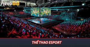 Thể thao Esport